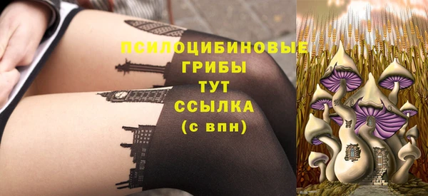 ешки Алексин