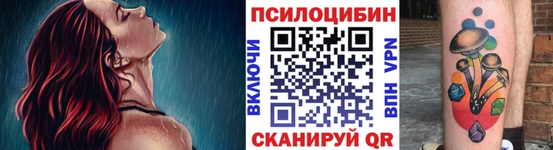 мориарти какой сайт  Кореновск  Галлюциногенные грибы Cubensis  закладка  МЕГА  