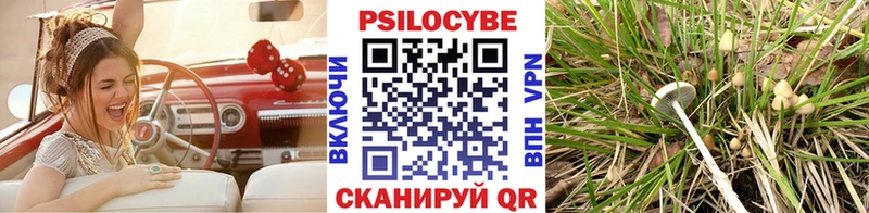 Псилоцибиновые грибы мицелий Кореновск